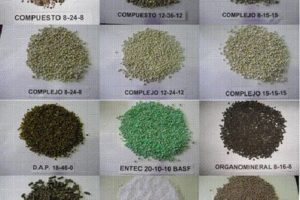 Elementos o composición del abono. Plantas de interior 8