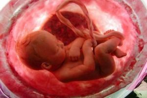 Revista iOrigen. Moda, belleza, viajes... y estilo de vida 7