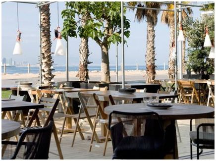 Conoce los mejores restaurantes para consumir pescado 1