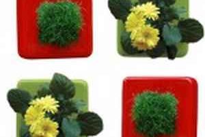 Decorar con plantas de interior-3 2