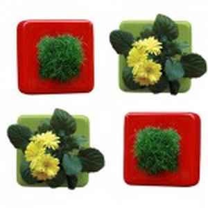 Decorar con plantas de interior-3 1