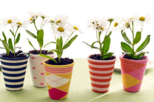 Decorar con plantas de interior-2 3