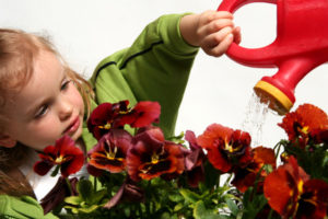 Las plantas y los niños 11