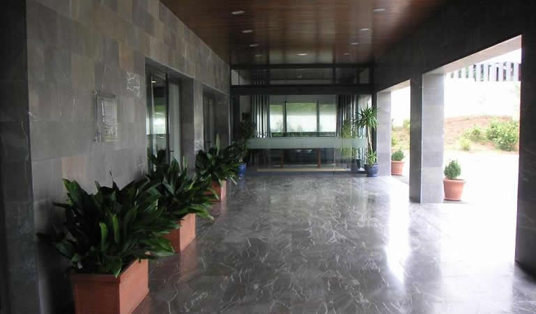 Elección de las plantas para las oficinas 1