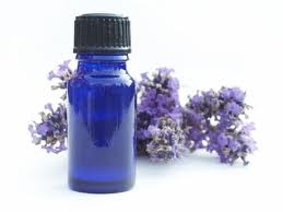 lavanda