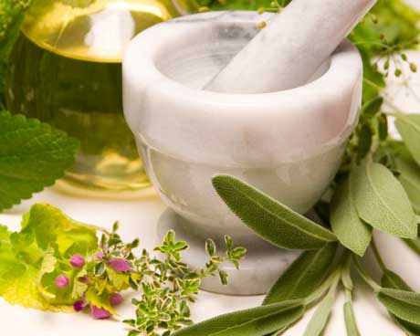 Las flores y sus aromas 1