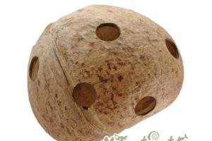 Nuez de coco 1