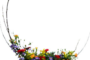 Formas y colores 2