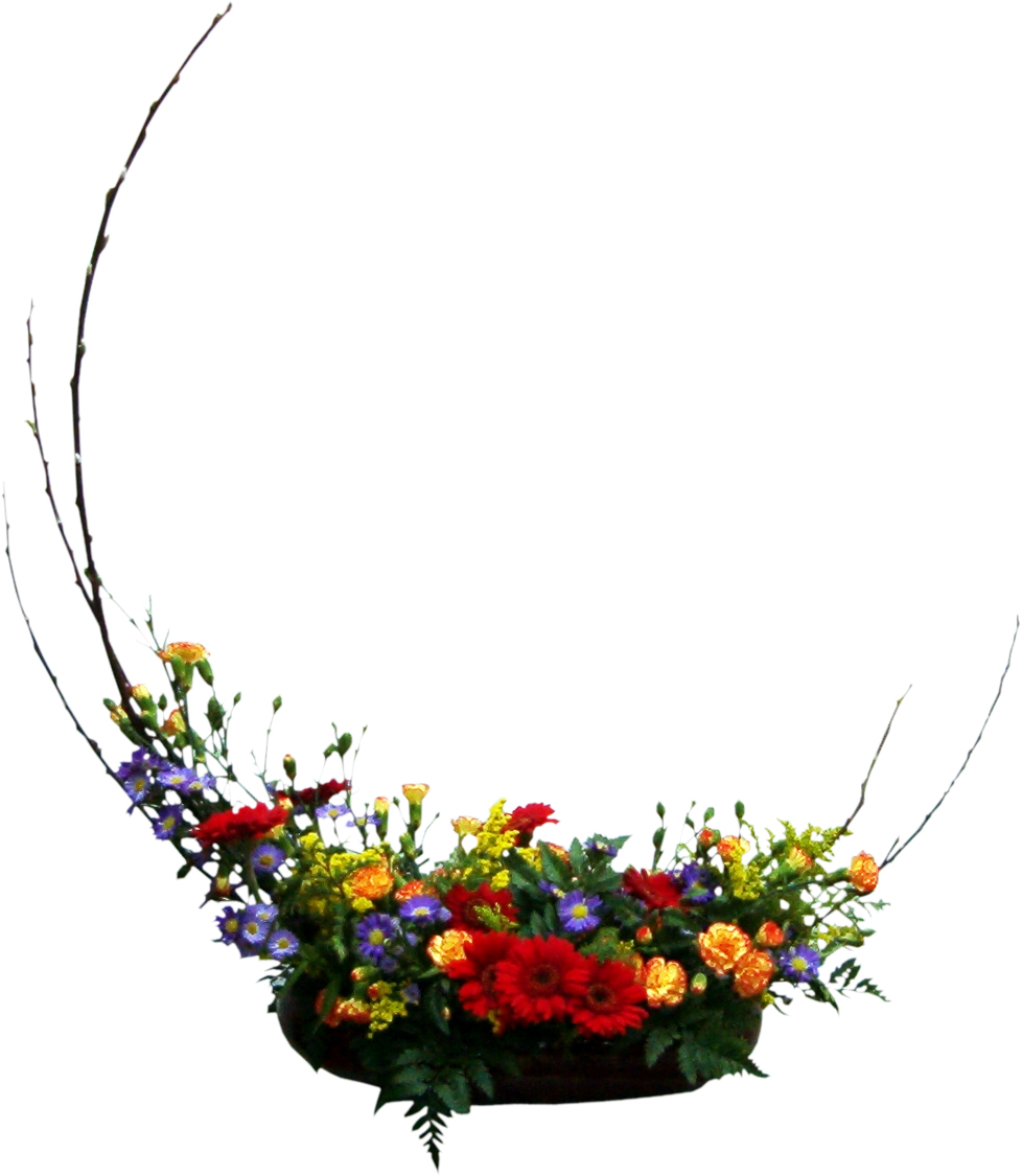 Formas y colores 1
