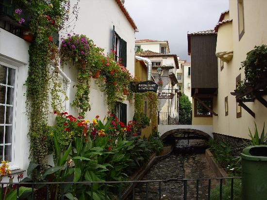 Funchal, la capital madeirense 1