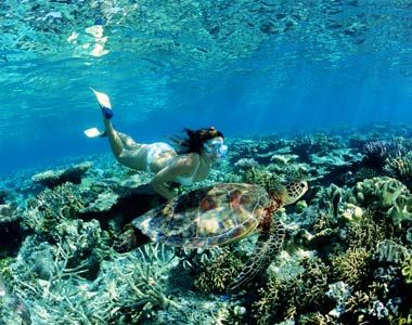 Paraísos de la costa australiana 1