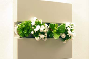 Herramientas y accesorios 10