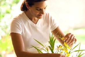 Cómo cortar correctamente los tallos de las flores, tres pasos más. 2