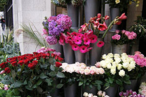 Decorar naturalmente 2