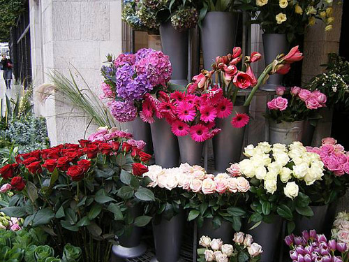 Decorar naturalmente 1