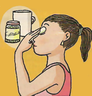 Eufrasia para ojos cansados 1