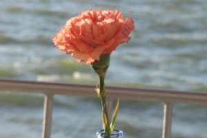 Hacer arreglos florales muy sencillos 5