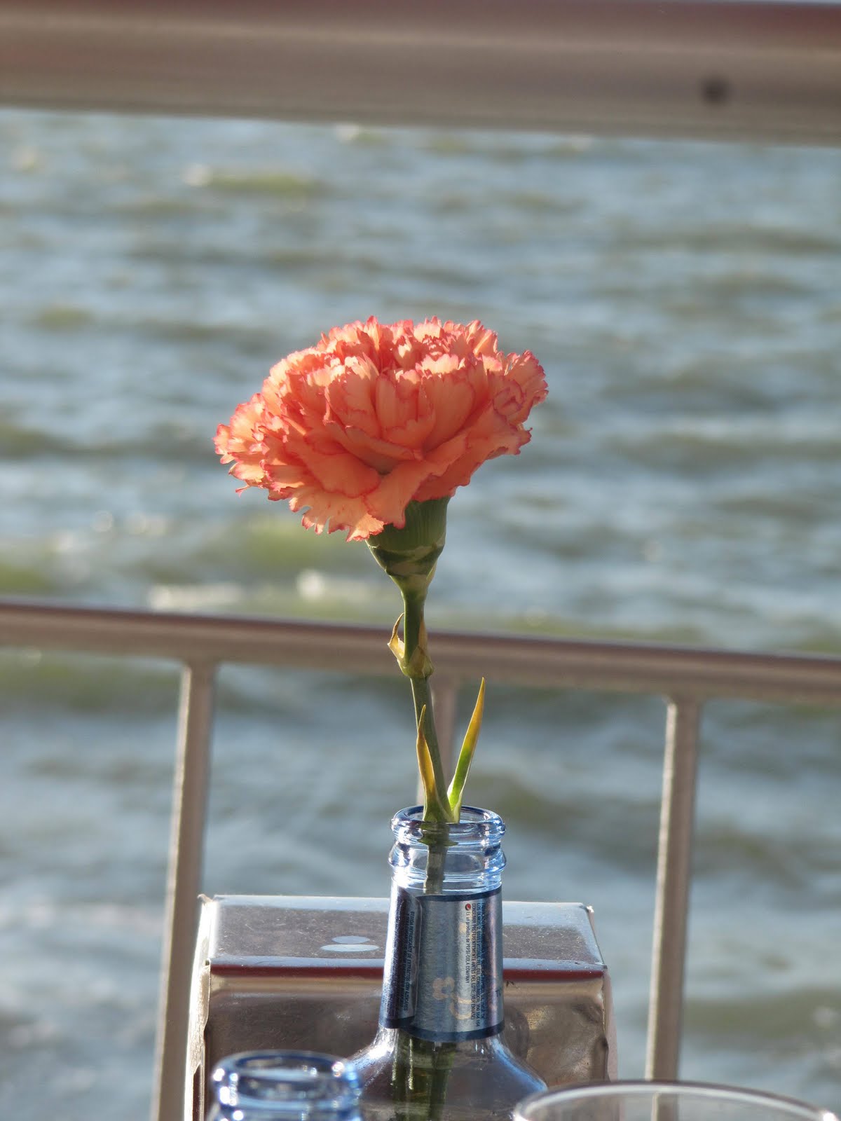 Hacer arreglos florales muy sencillos 1