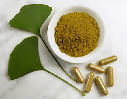 Ginkgo biloba 1
