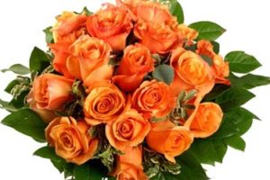 Ramos de rosas 6