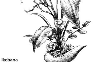 Ikebana, su origen 3