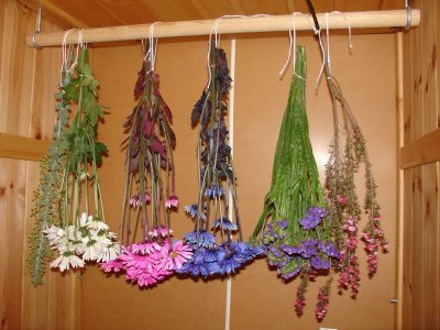 Métodos de secado: Natural o aireado 1