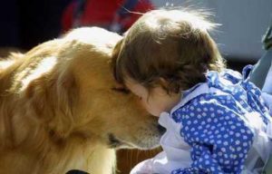 golden retriever con niña