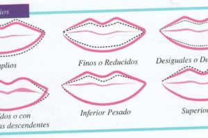Corrección labial 12