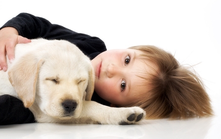 el perro ideal