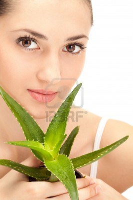 Aloe vera, eternamente joven 1