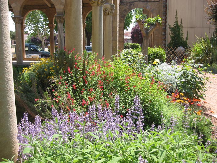 Ambientes y plantas en jardines biológicos 1