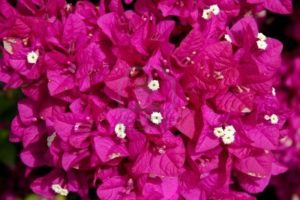Formas, texturas y colores 6