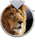 Recordando todas las versiones de MAC OS X 9
