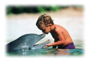 Niño y Delfin