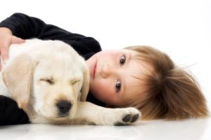 Perros y niños 9