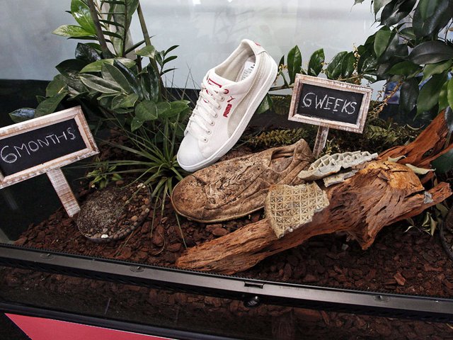 Puma y sus zapatillas biodegradables Incycle