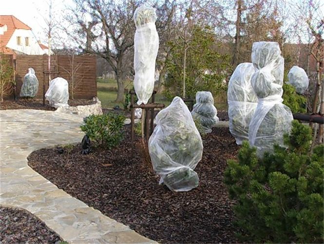 proteger jardín en invierno