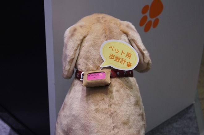 Wandant: el dispositivo para la salud de nuestro perro 1