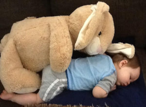cuidado con los peluches