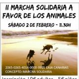 Cartel marcha solidaria