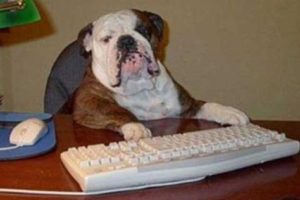 Mi perro conmigo al trabajo 4