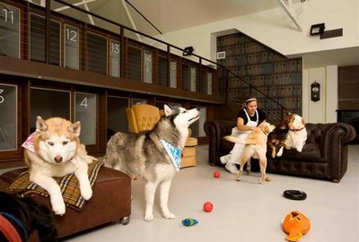hotel de lujo para perros