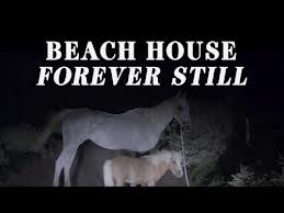 Portada de "Forever Still", el cortometraje de Beach House