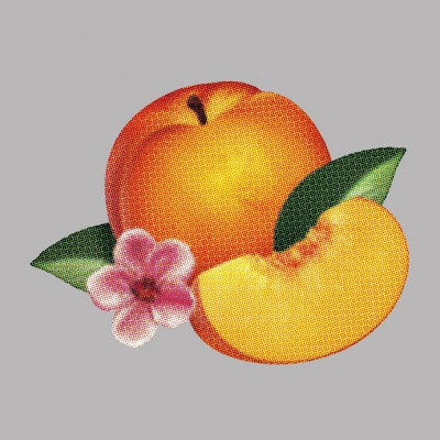 Portada de Bankrupt!, Phoenix
