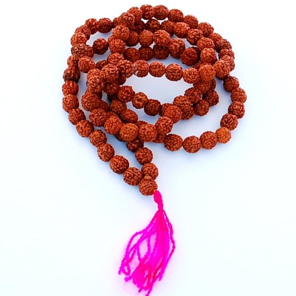 ¿Qué poder tienen las semillas de Rudraksha?