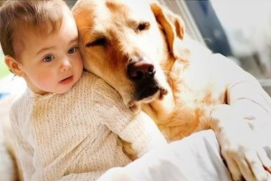 Convivencia de bebes con animales, ventajas 1
