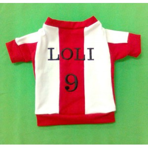 Camisetas personalizadas