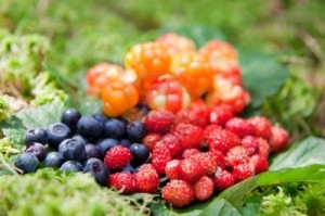 Frutos del bosque