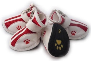 Zapatos para mascotas