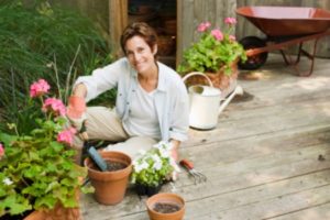 Excelentes beneficios de tener plantas en casa 4